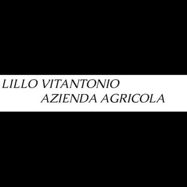 Lillo Vitantonio Azienda Agricola
