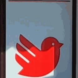 M.D.F. Manutenzione Caldaie Hermann Saunier Duval