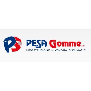 Pe.Sa Gomme Service