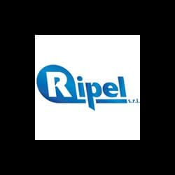 Ripel