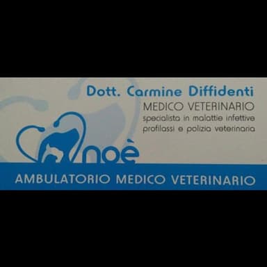 Veterinario Carmine Dr. Diffidenti